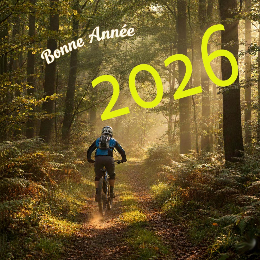 Bonne annee 2026
